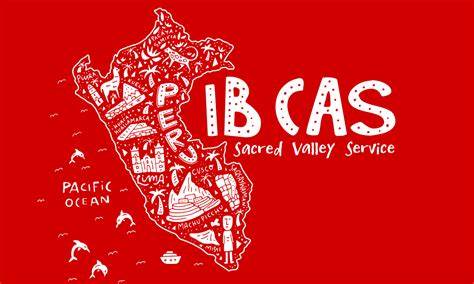 IB核心課程中的CAS究竟是什么？