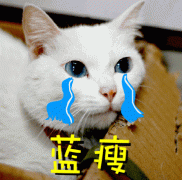 AP歐洲史