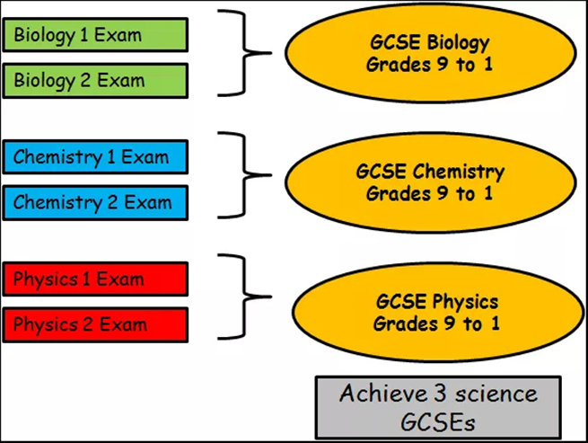GCSE課程